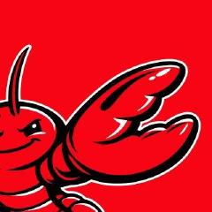 OpenClaw